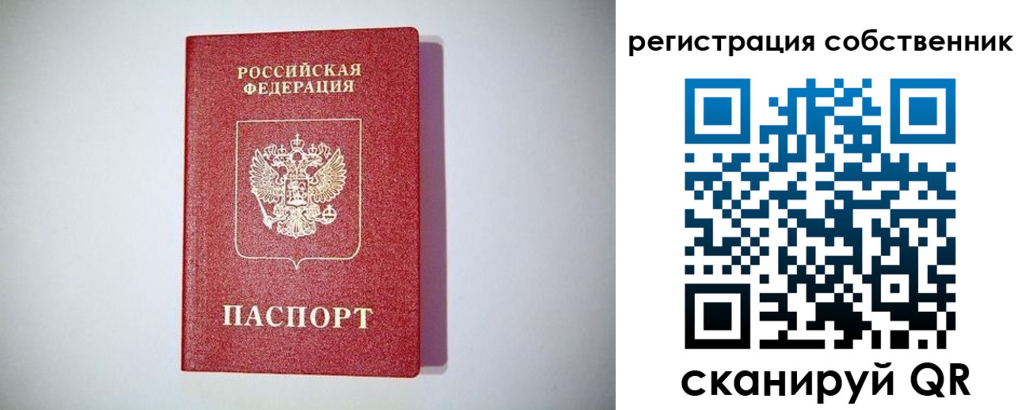 временная регистрация для школы в Острогожске